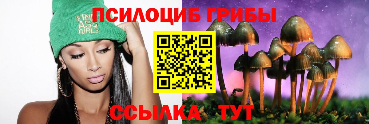 Галлюциногенные грибы прущие грибы  Галлюциногенные грибы мухоморы  Вход с VPN  Чернушка 